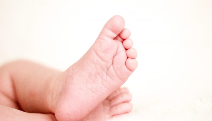 proposta di legge sulla maternità surrogata altruistica